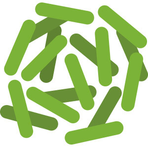 LACTOBACILLUS-RHAMNOSUS